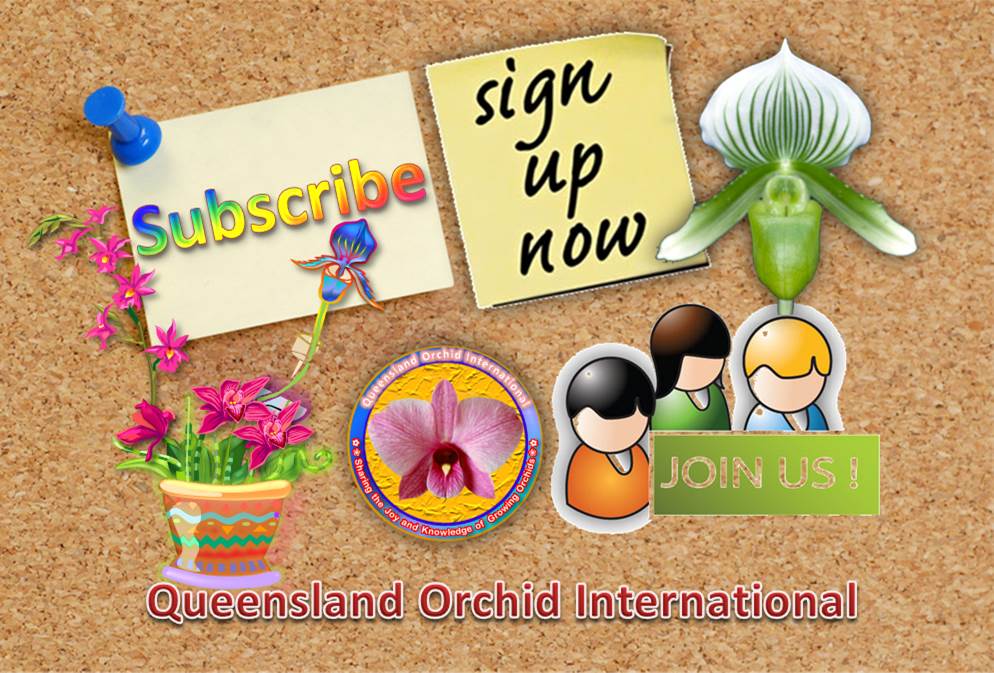 Queensland Orchid International Subsribe