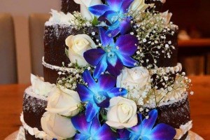 Christine Johnson's Wedding Cake