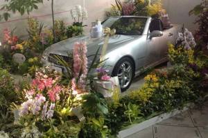 International Orchid Show in Tokyo Dome with Car as Prize