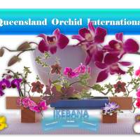 Ikebana Lessons with Orchids: Minimalist Flower Arrangement 🎍💐