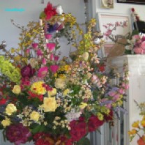 SoundEagle's Floral Display on Valentine's Day 2015 (28)