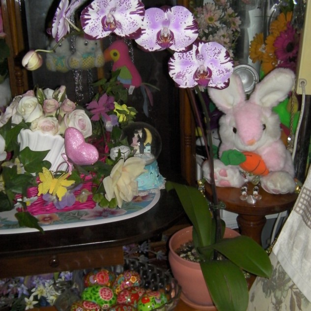 Queensland Orchid International Happy Easter (2)