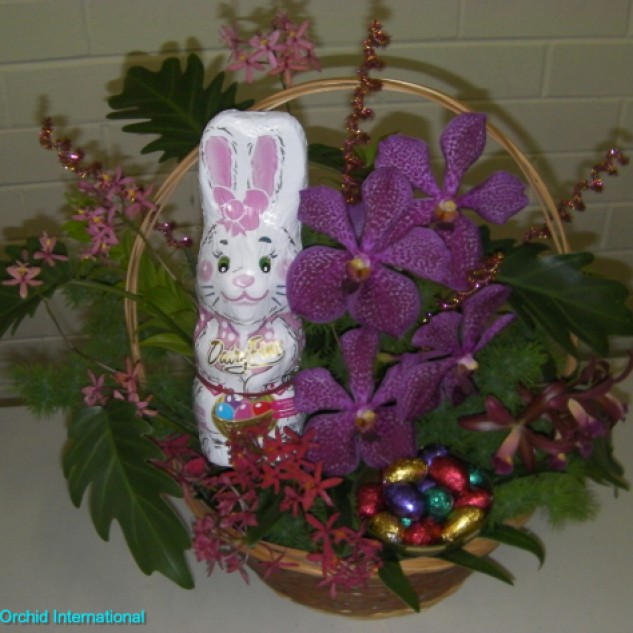 Queensland Orchid International Happy Easter (4)