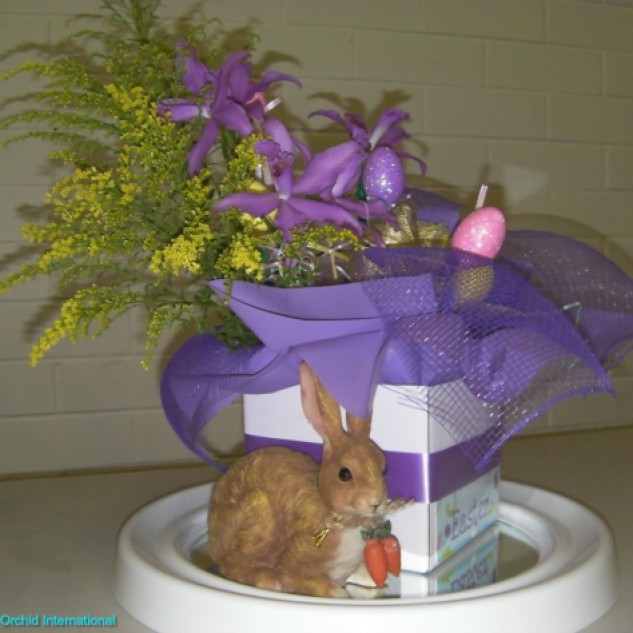 Queensland Orchid International Happy Easter (5)
