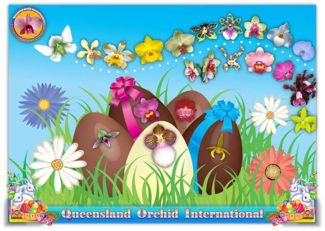 Queensland Orchid International Happy Easter