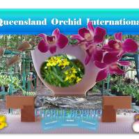 Charlie Robino: Loving Orchids in Far North Queensland 🌼🏡🎣🌊☀