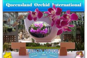 Alison Viatos at Queensland Orchid International
