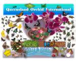 Queensland Orchid International Plants & Insects